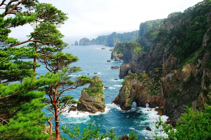 Miyako Iwate Private Shore Excursion Coastal Wonders and Caves — operator photo 7