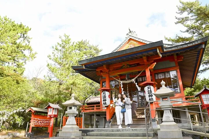 Discover the Wonders of Sakurajima Half Day Tour in Kagoshima — operator photo 9