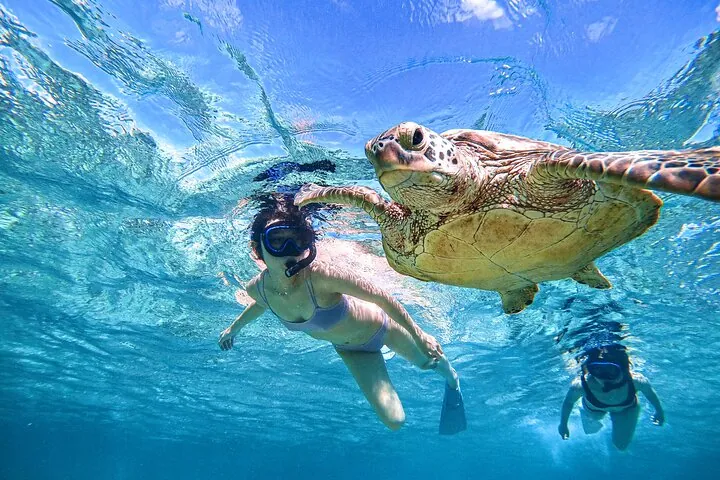 Snorkeling Activity in Okinawa Miyako Japan — operator photo 2
