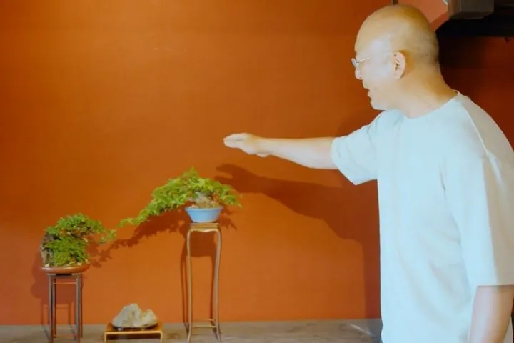 Explore Fukui’s Merchant Heritage with a Bonsai Craft Session — operator photo 6