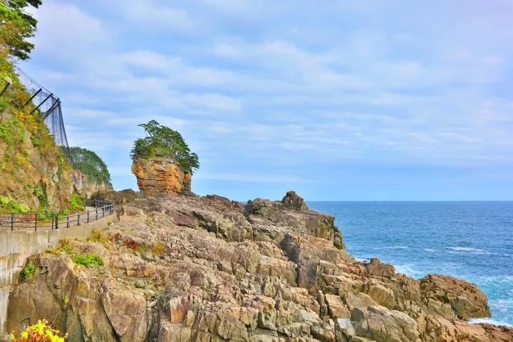 Miyako Iwate Private Shore Excursion Coastal Wonders — operator photo 2