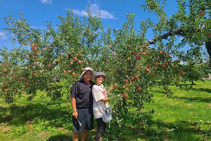 Aomori Customized Private Tour in 1 Day with Licensed Guide — operator photo 5