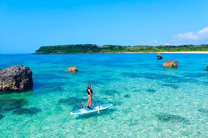 Okinawa Miyako Full Day Sea Turtle Snorkel and SUP or Canoe — operator photo 4