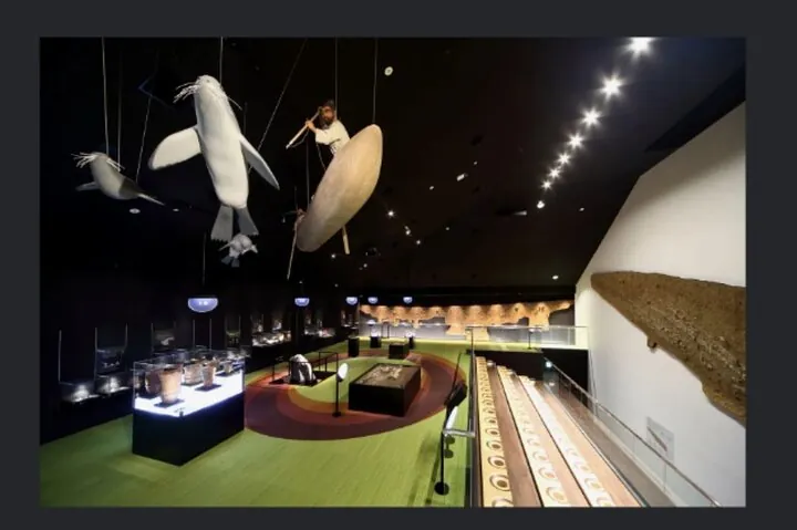 E-Bike Tour to Jodogahama Beach&Jomon Museum–Miyako, Tohoku Japan — operator photo 4