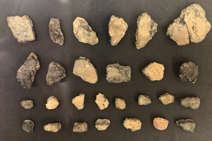 Full-Day Jomon World Heritage Site Tour in Northern Tsugaru Area