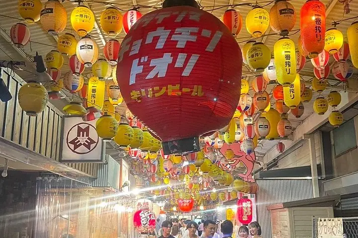 Private Osaka Tour from Your Hotel with Local Guide — operator photo 4