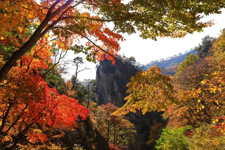 Seoraksan Hiking Ulsanbawi Summit Biryong Falls and Finisher Gift — operator photo 11