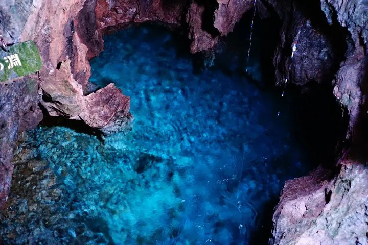Miyako Iwate Private Shore Excursion Coastal Wonders and Caves — operator photo 5