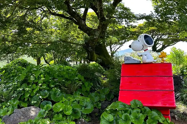 Jeju BTS & K-drama Fans Small Group Tour incl. Snoopy Garden — operator photo 3