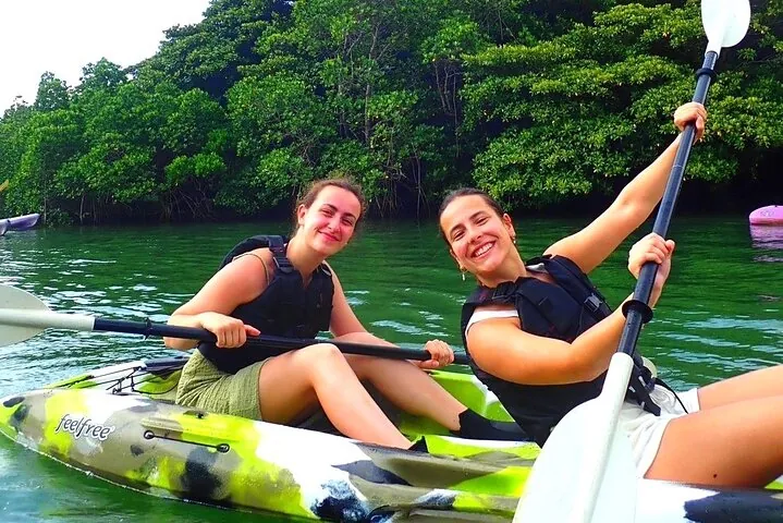 Okinawa Ishigaki Mangrove SUP or Canoe Tour — operator photo 4