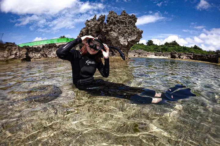 Okinawa Miyako Sea turtle Snorkeling Free Pick up and Drop off — operator photo 10