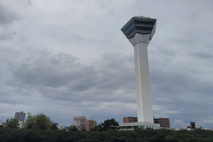 Hakodate: Goryokaku Star Fort & Tower Guided History Tour — operator photo 4