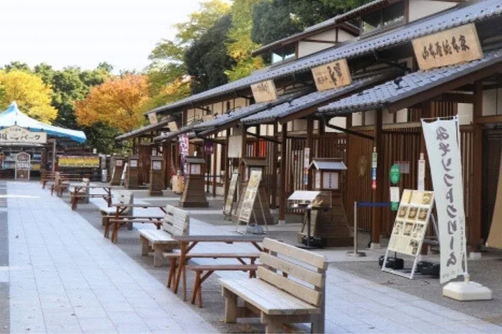 Nagoya Castle and Local Flavor Samurai Tales and Street Food Walk — operator photo 6