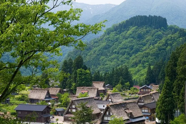 Toyama Gokayama World Heritage Villages and Historic Exile Sites — operator photo 5