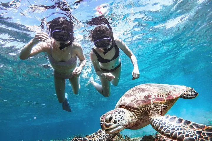Snorkeling Activity in Okinawa Miyako Japan — operator photo 6