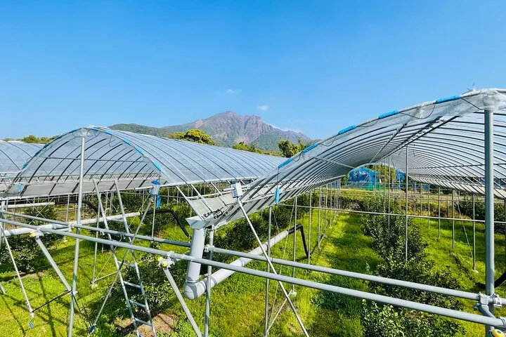 Sakurajima Century Lava Climb Journey with E-bike — operator photo 4