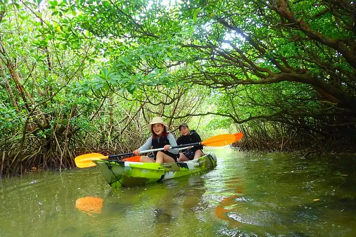 Okinawa Ishigaki Mangrove SUP or Canoe Tour — operator photo 12