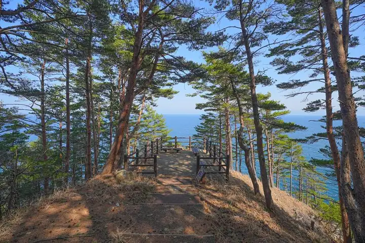 Miyako Iwate Private Shore Excursion Coastal Wonders and Caves — operator photo 8