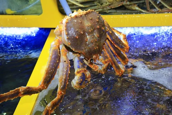 3-Hour Self-guided Sokcho Tour with Private Transportation — operator photo 6