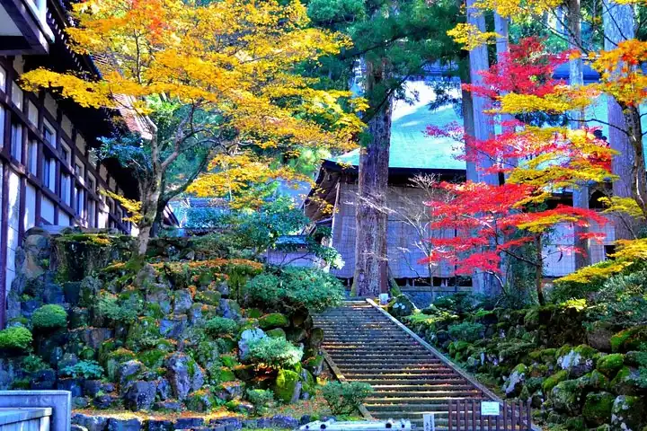 Fukui: Eiheiji Temple and the Heart of Zen Buddhism — operator photo 4