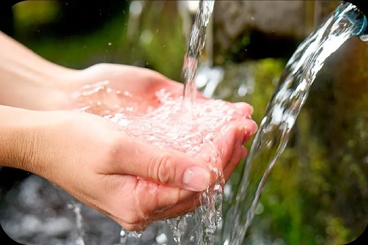 Essence of Sake Shikomi Mizu Brewing Water at Obama Shuzo — operator photo 4
