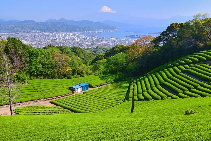 Nihondaira