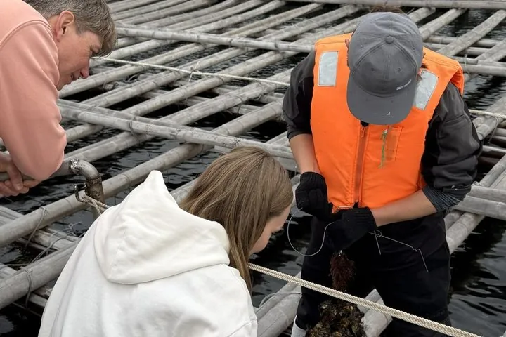 Miyajima Sea Pilgrimage to Itsukushima Shrine Oyster Farm Visit — operator photo 4