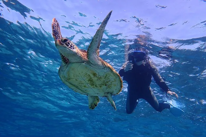 Okinawa Miyako Day Trip Sea Turtle Snorkel and Pumpkin Cave — operator photo 10