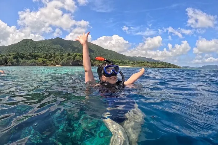 Ishigaki Mangrove SUP or Canoe + Blue Cave Snorkeling — operator photo 11