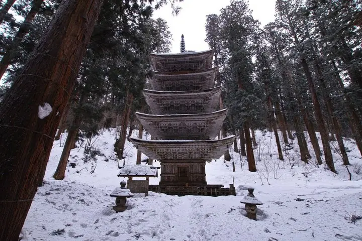 Mt Haguro Pagoda Express Private Tour from Sakata Port — operator photo 3