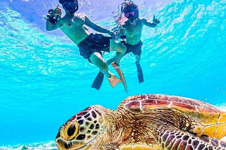 Okinawa Miyako Sea turtle Snorkeling Free Pick up and Drop off — operator photo 5