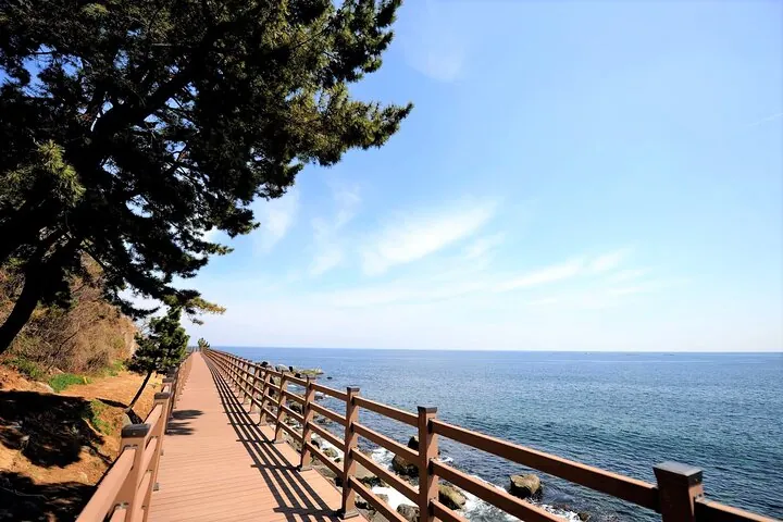 3-Hour Self-guided Sokcho Tour with Private Transportation — operator photo 11