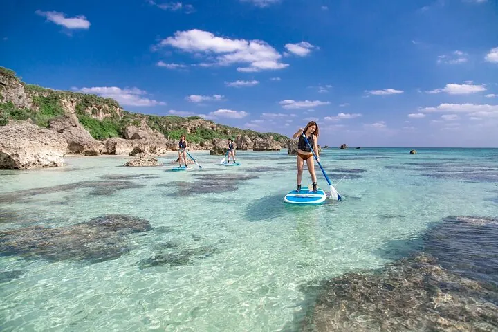 Okinawa Miyako Half Day SUP Canoe and Sea Turtle Snorkel — operator photo 2