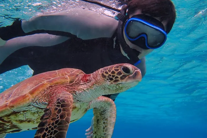 Okinawa Miyako Half Day SUP Canoe and Sea Turtle Snorkel — operator photo 10