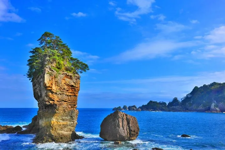 Miyako Iwate Private Shore Excursion Coastal Wonders and Caves — operator photo 6