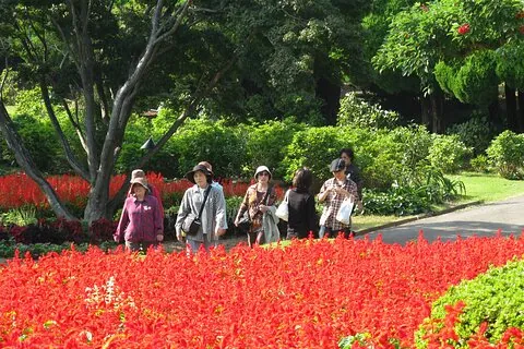 Nokonoshima island and wagyu
