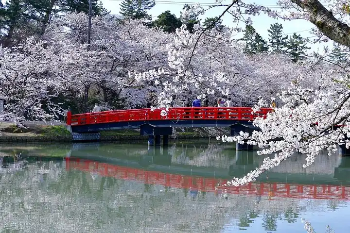 Private Aomori Shore Excursion Hirosaki Castle and Apple Hill — operator photo 4