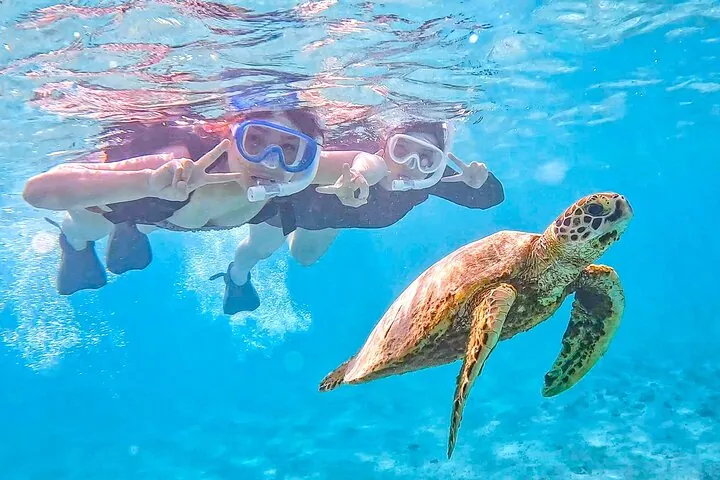 Snorkeling Activity in Okinawa Miyako Japan — operator photo 3
