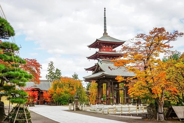 Private Aomori Shore Excursion Hirosaki Castle and Apple Hill — operator photo 2