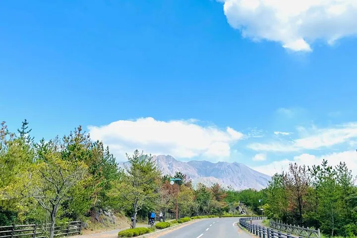 Sakurajima Century Lava Climb Journey with E-bike — operator photo 8