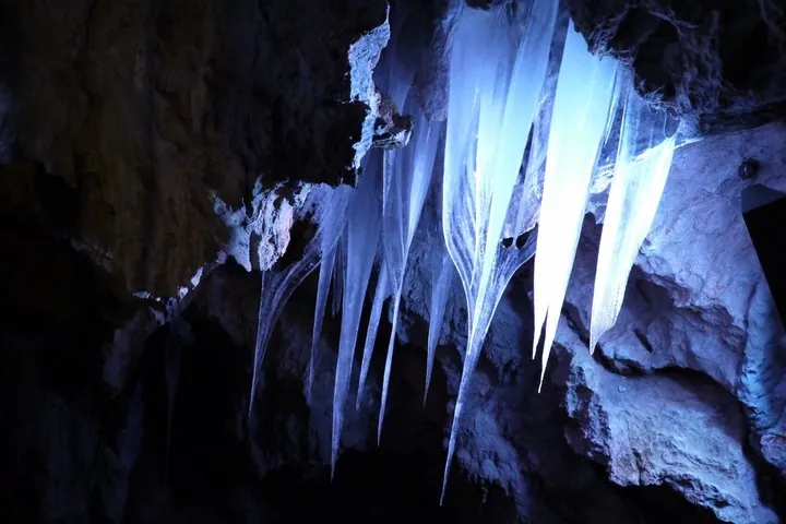 Miyako Iwate Private Shore Excursion Coastal Wonders and Caves — operator photo 4
