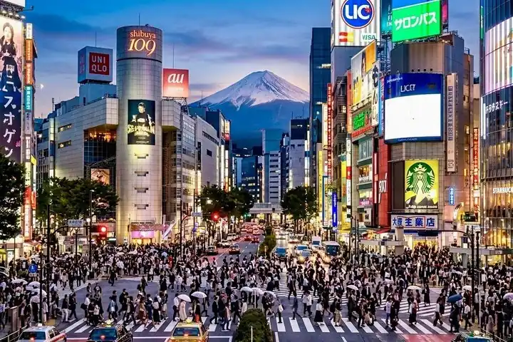 Tokyo in one day, privately guided — photo from the operator