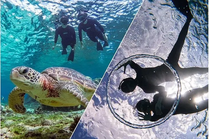 Okinawa Miyako Sea turtle Snorkeling Free Pick up and Drop off — operator photo 7