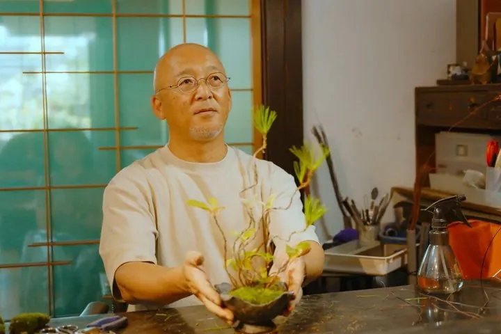 Explore Fukui’s Merchant Heritage with a Bonsai Craft Session — operator photo 9