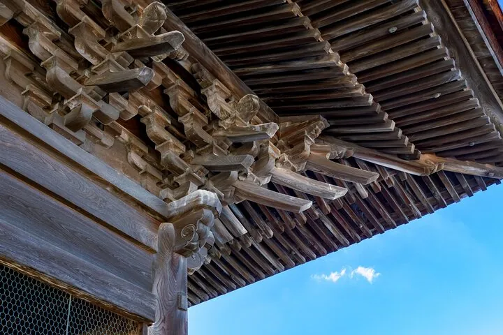 Toyama: Zen Architecture and Philosophy at Zuiryu-ji Temple — operator photo 9