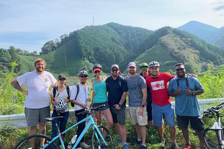 Guided Bike Tour to a green tea farm
