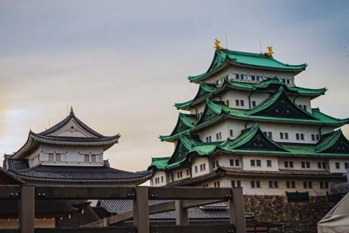 Nagoya Castle and Local Flavor Samurai Tales and Street Food Walk — operator photo 3