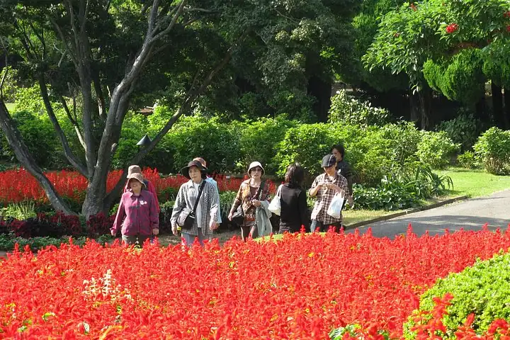 Colors of Japan, Fukuoka Nokonoshima Island Park & Wagyu BBQ