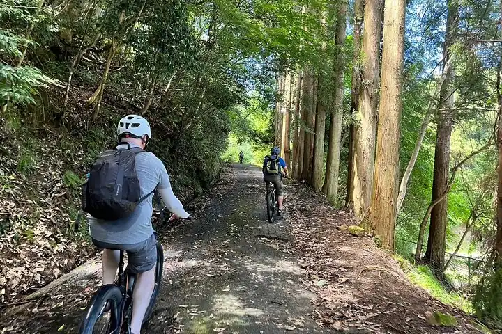 Amanohashidate Sand bar & culture e-bike tour — operator photo 4