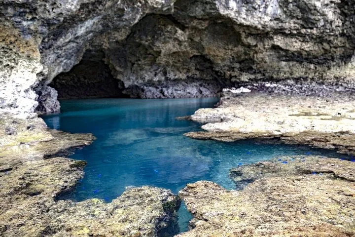 Okinawa Ishigaki Blue Cave Snorkeling Tour — operator photo 2